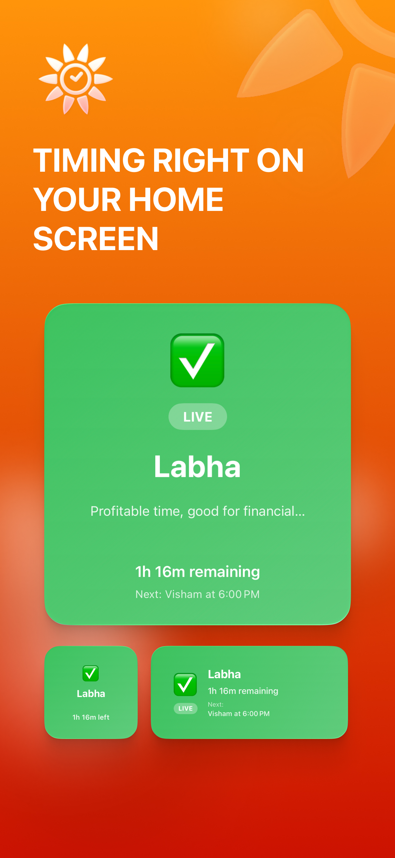 Hindu Timings App - Lunar Events